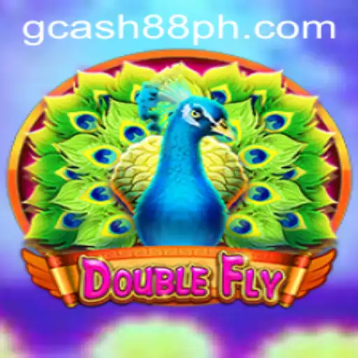 Explore DoubleFly: The Ultimate Gaming Experience